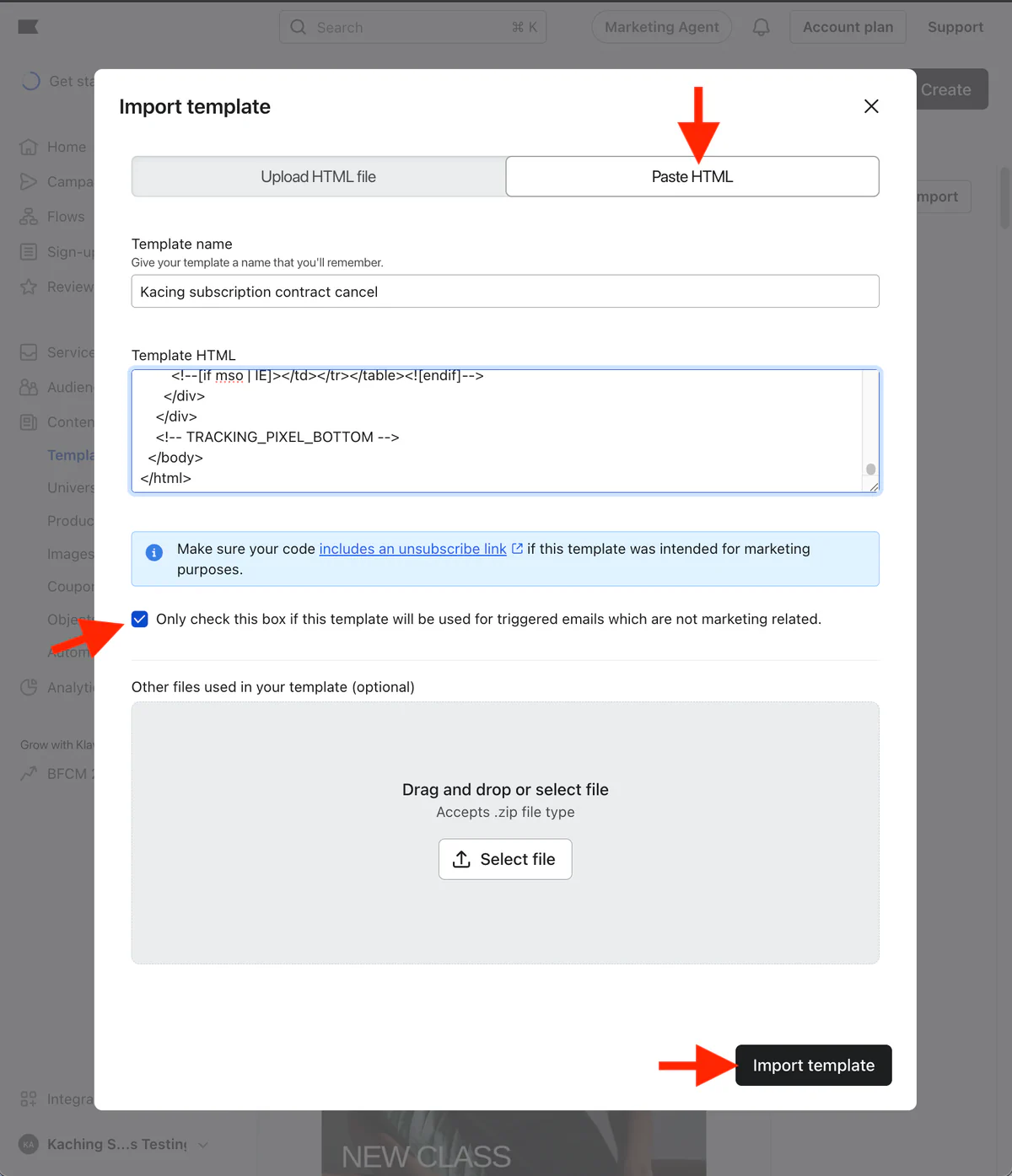 Import template dialog on the Paste HTML tab, with the non-marketing checkbox ticked and Import template highlighted